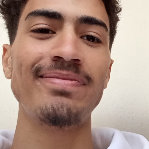 ali m.