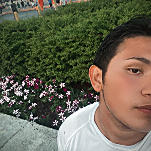 Robert  J. profile photo