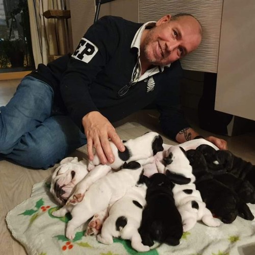 Michel D. profile photo