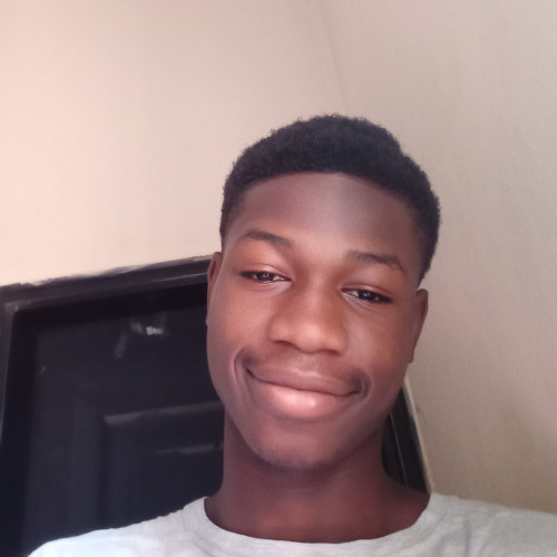 Akinbohun  E. profile photo