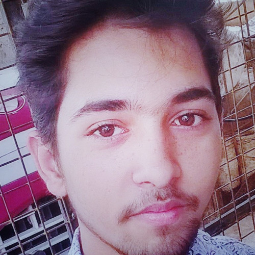 Mayank P. profile photo