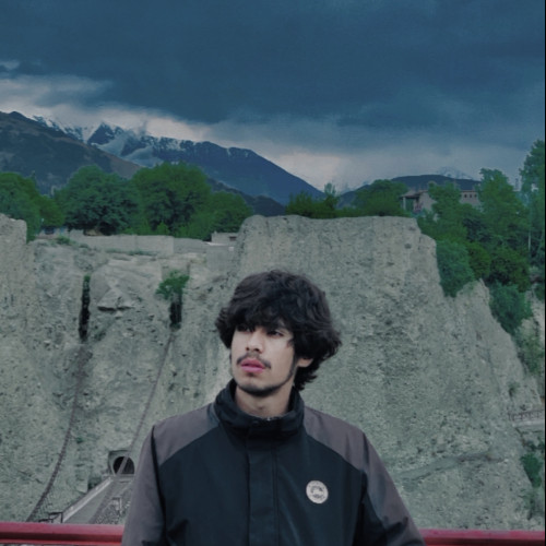 Ammar  M. profile photo