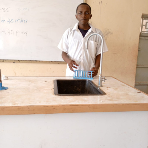 Steve N. profile photo