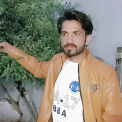 Ali K. profile photo