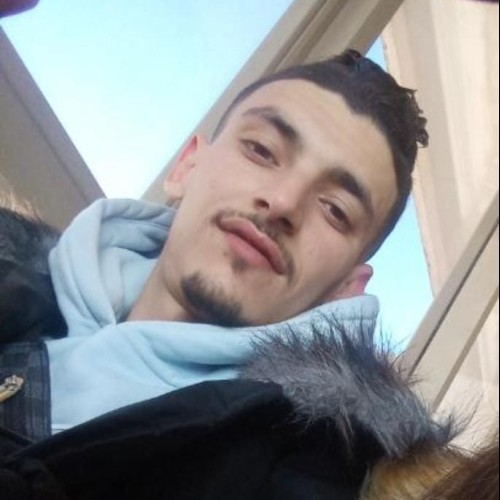 Mehdi F.