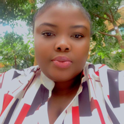 Tolulope  O. profile photo