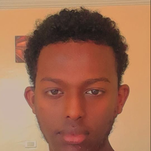 Batu D. profile photo