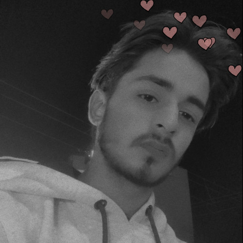 Aditya  D. profile photo