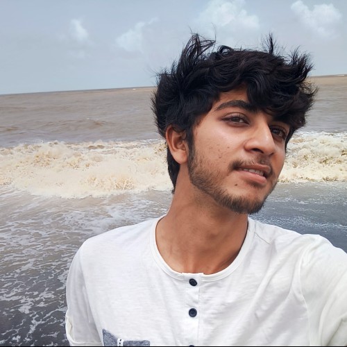 Parth K.