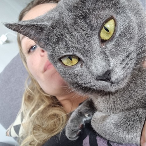 camille B. profile photo