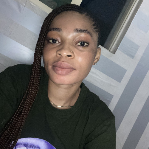 sholakunmi O. profile photo
