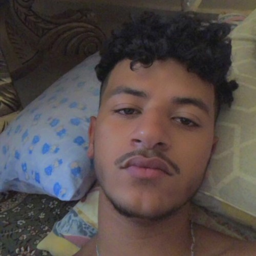 Hamza R. profile photo