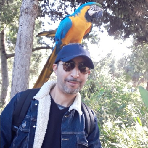 jaouad b. profile photo