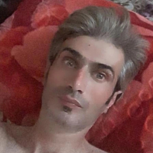 Farhad  T. profile photo