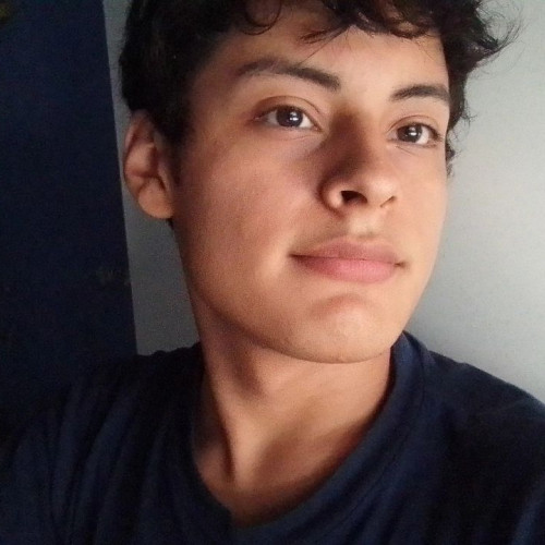 Daniel  N. profile photo