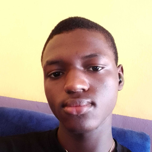 Mathias D. profile photo