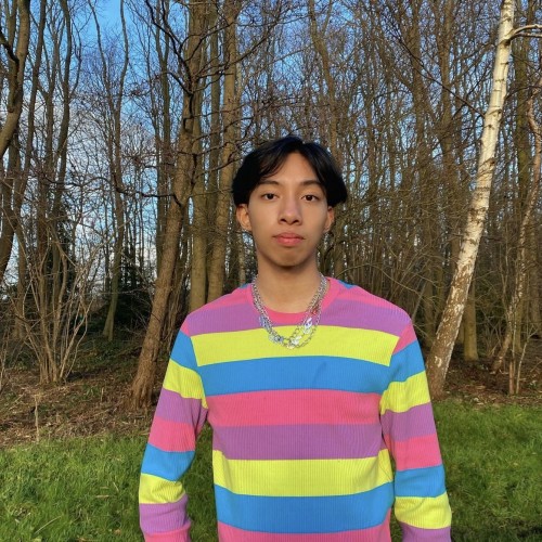 Arif N. profile photo