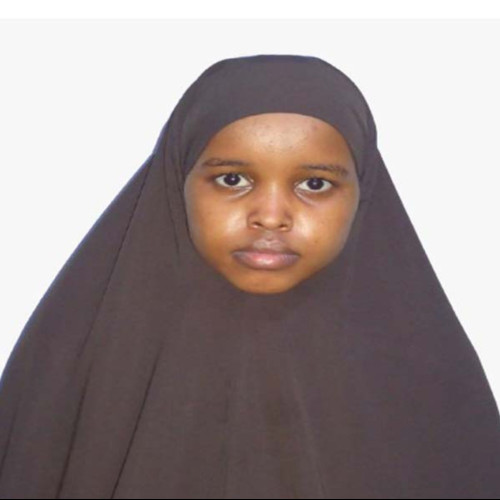 Hanan  A. profile photo