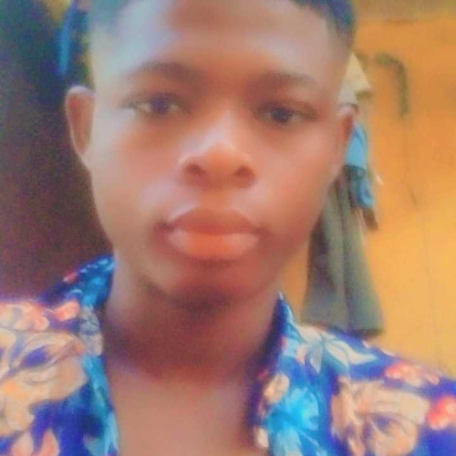 Daniel D. profile photo