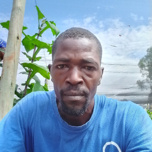 Moses  G. profile photo