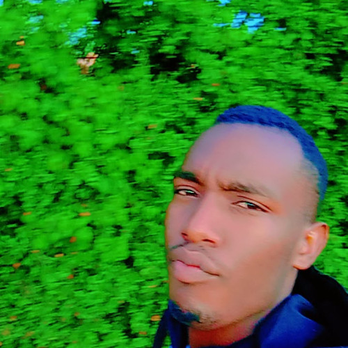 Stephen M. profile photo