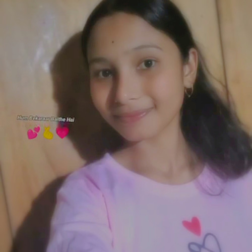 Himansu B. profile photo