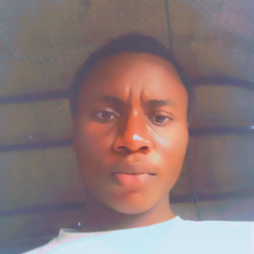 Godswill M. profile photo