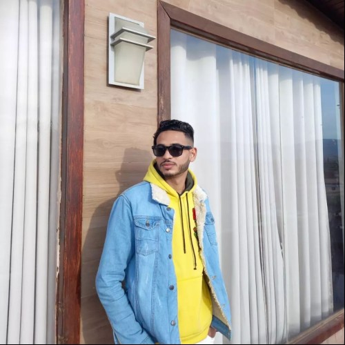 hamid e.