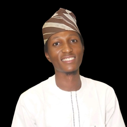 Ismail Damilare  T. profile photo