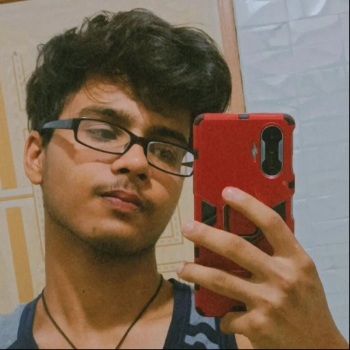 Aditya Raj S.