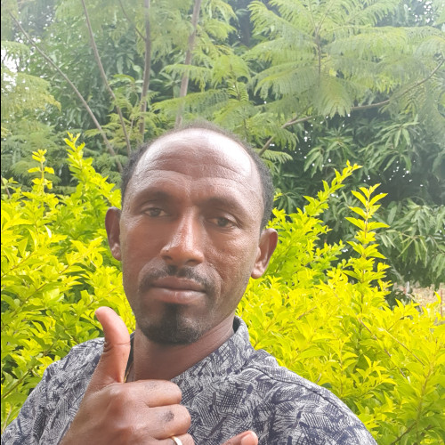 Ayhew D. profile photo