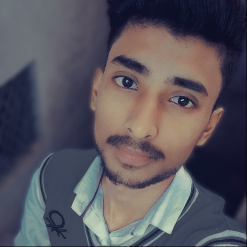 Alok S. profile photo