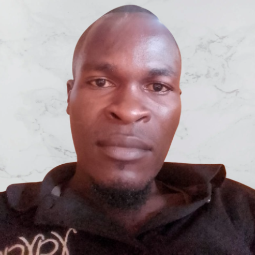 David D. profile photo