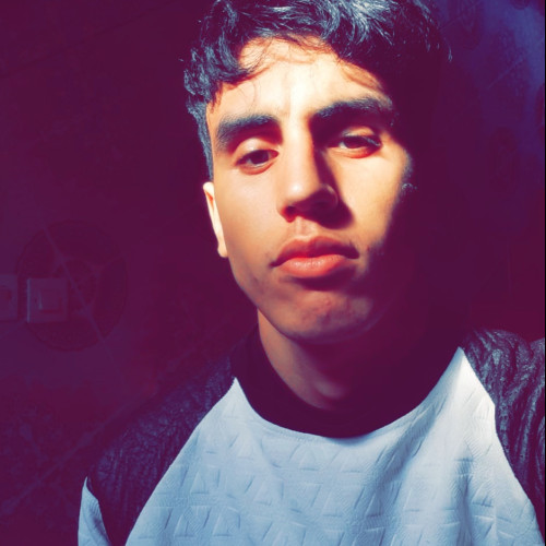 Mouhcine  H. profile photo