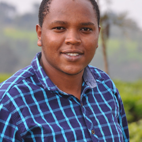 Ignatius M. profile photo