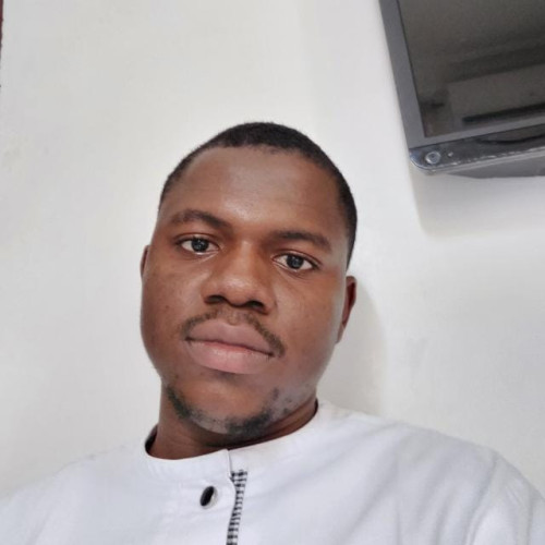 Olamigoke O. profile photo
