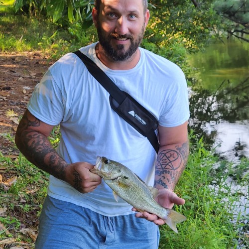 Dustin Z.