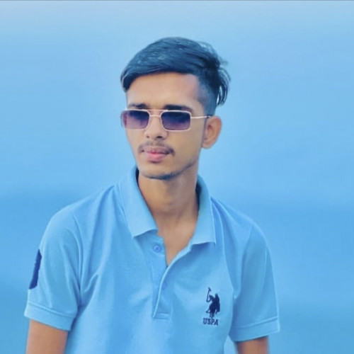Ansh A.