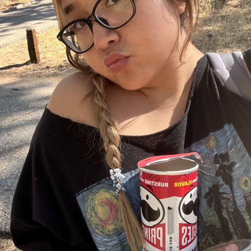 bri t. profile photo