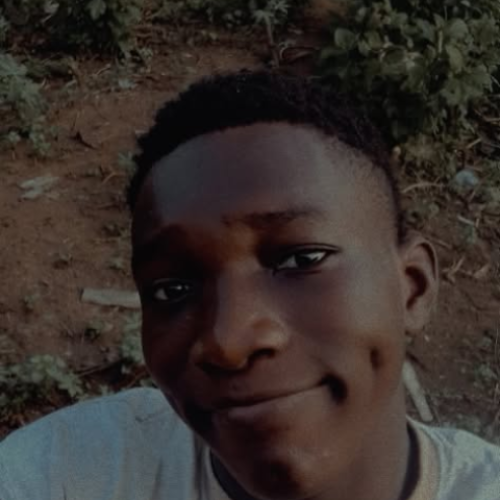 AWOYODE A. profile photo