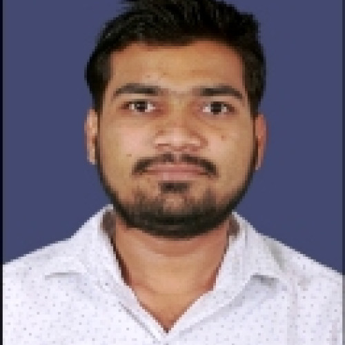 Divyesh P.