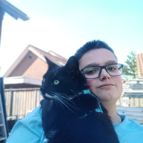 Ryan V. profile photo