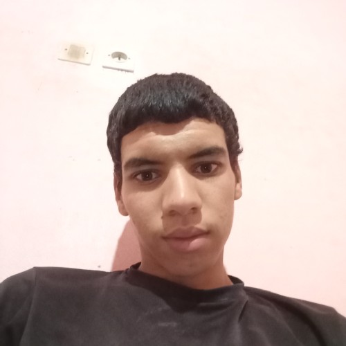 Amine  A. profile photo