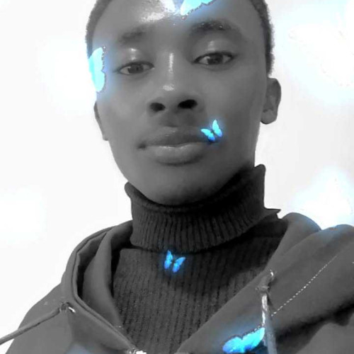 Vincent M. profile photo