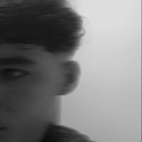 Alex M. profile photo