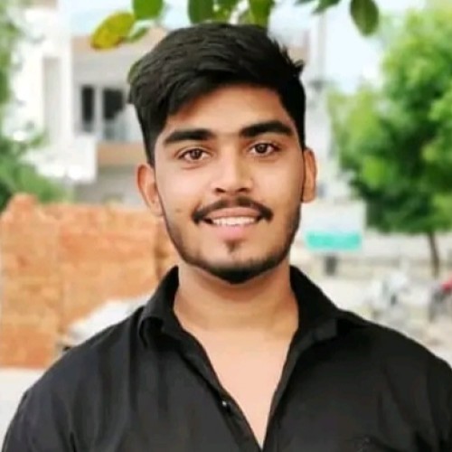 Mohit L. profile photo