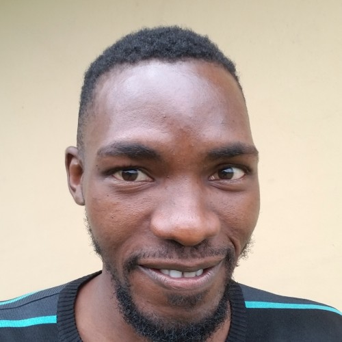 Ayeni A.