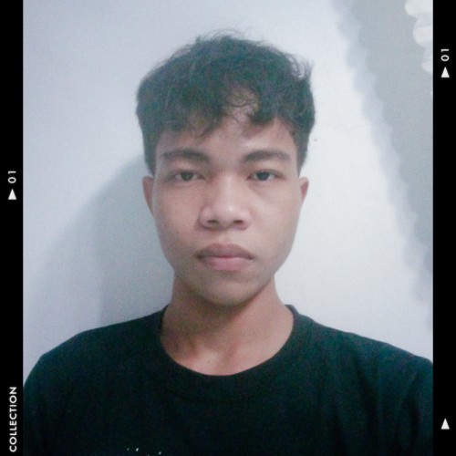 Vince M. profile photo