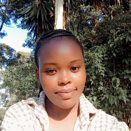 Priscilla N. profile photo
