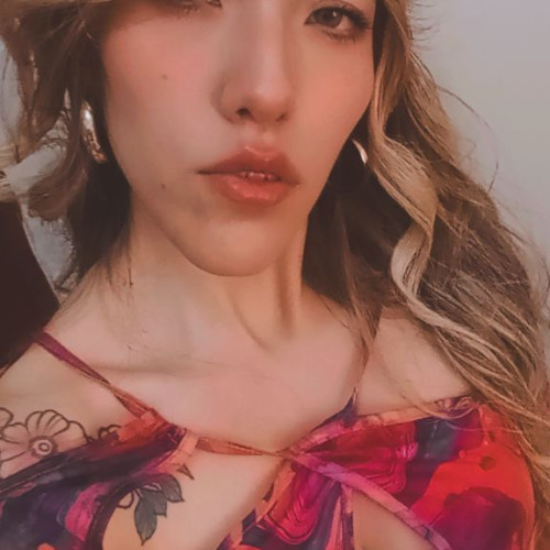 shel f. profile photo